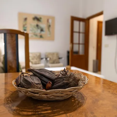 Vivienda Senorial Centro דירה
