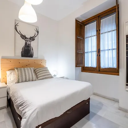 Vivienda Senorial Centro דירה