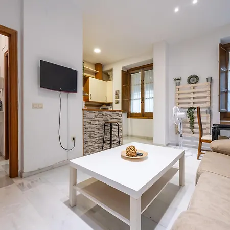 Vivienda Senorial Centro דירה *